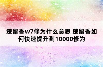 楚留香w7修为什么意思 楚留香如何快速提升到10000修为